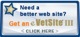 Get an Evetsites III Website