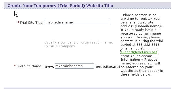 We will assign a temporary domain name for the trial period only!