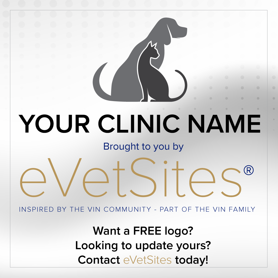 Logo Portfolio Infographic
