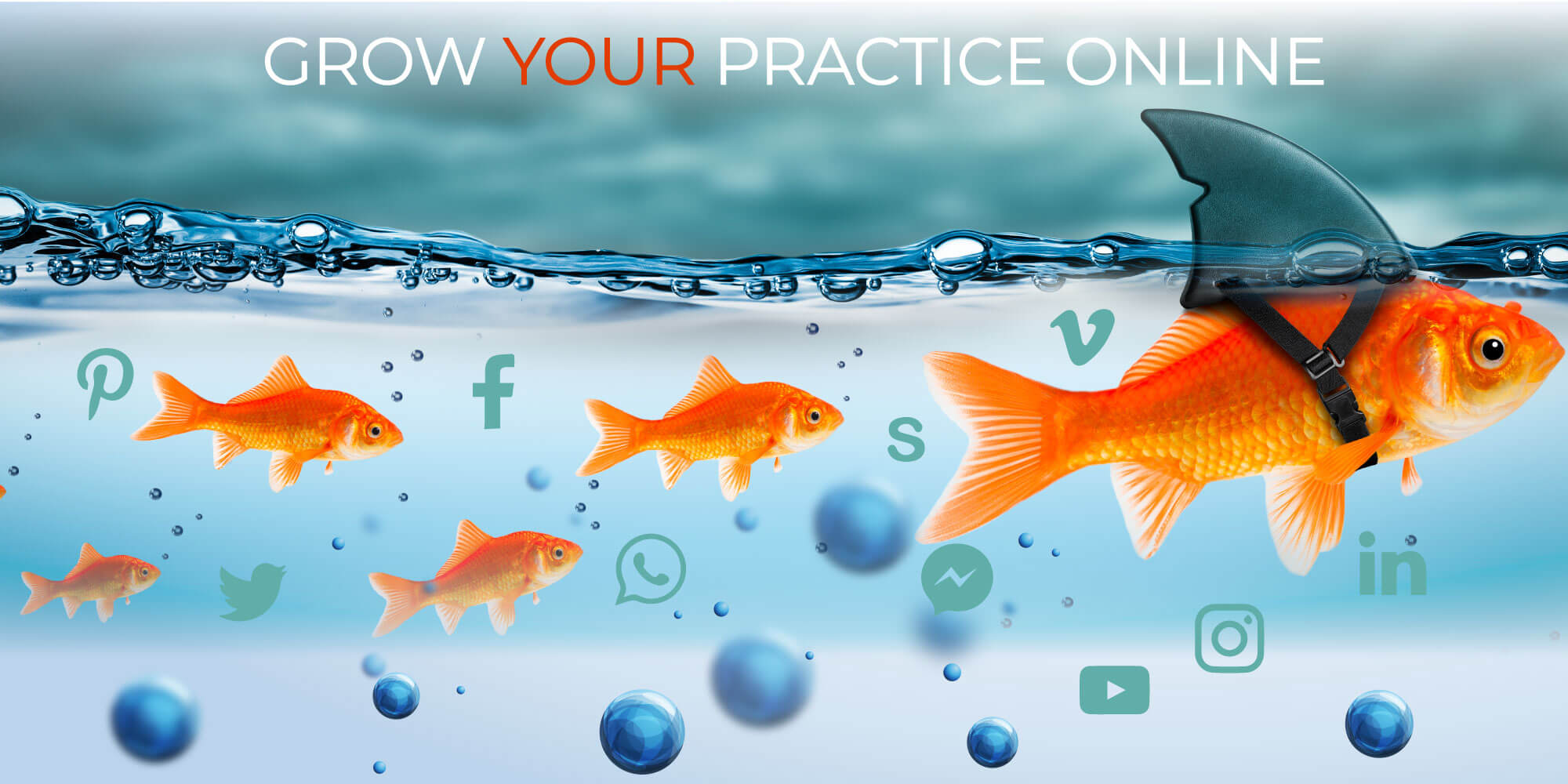 Gold Fish Graphic