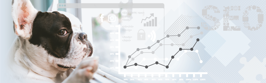 Features Business Graphic