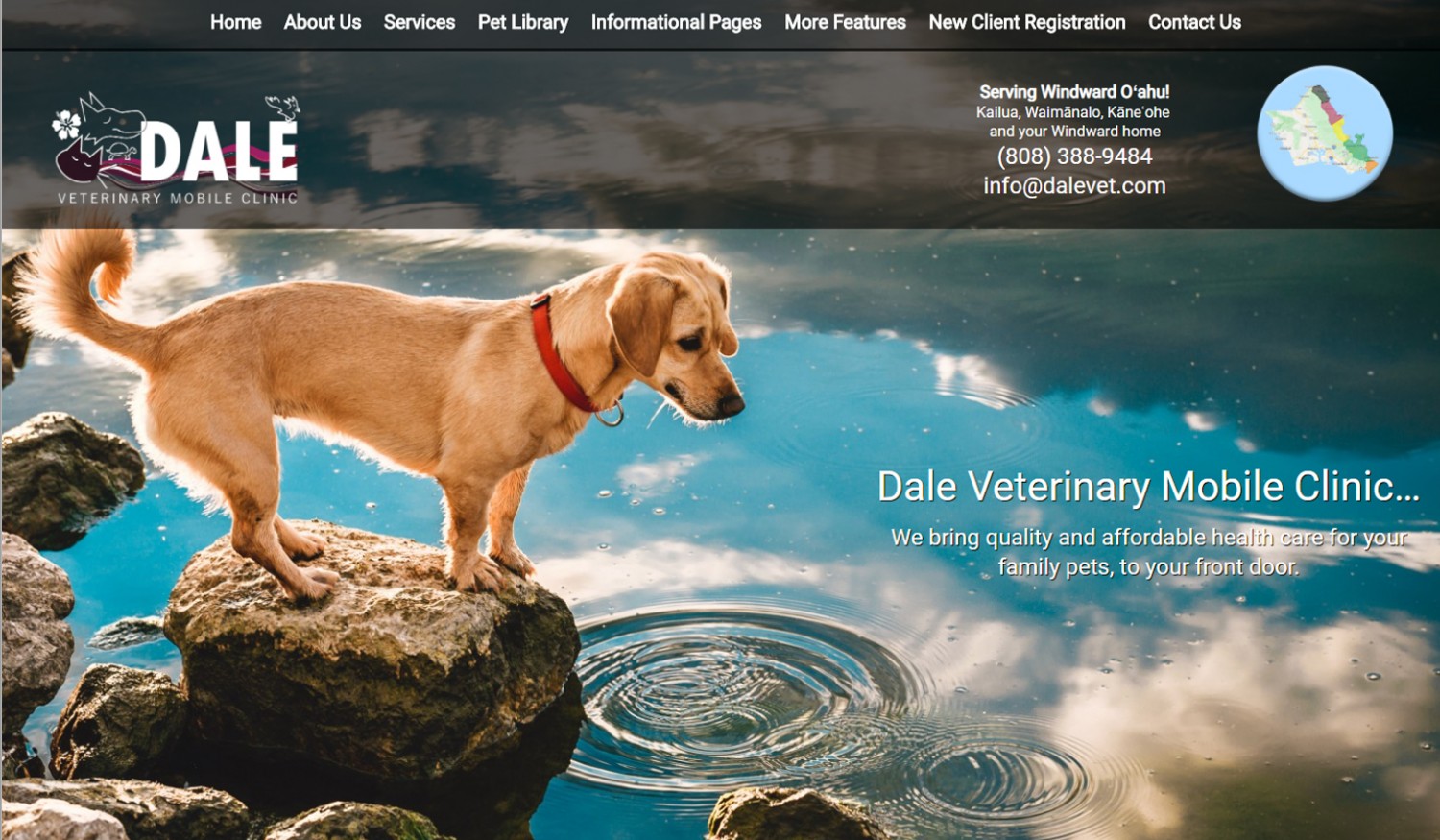 Dale Portfolio
